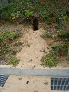hole